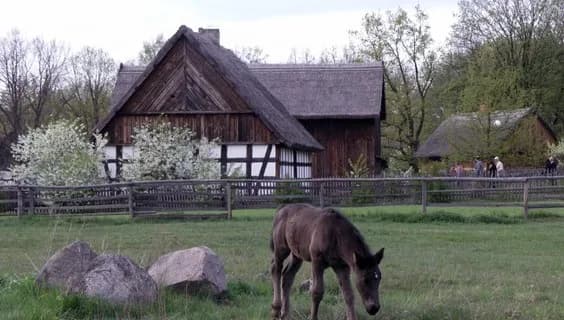 Więcbork atrakcje: odkryj ukryte skarby i nieznane miejsca